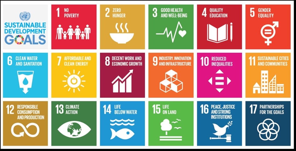 17 SDGS