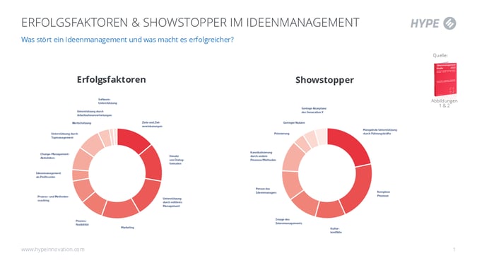 IDM-Studie-2023_Erfolgsfaktoren-Showstopper-1